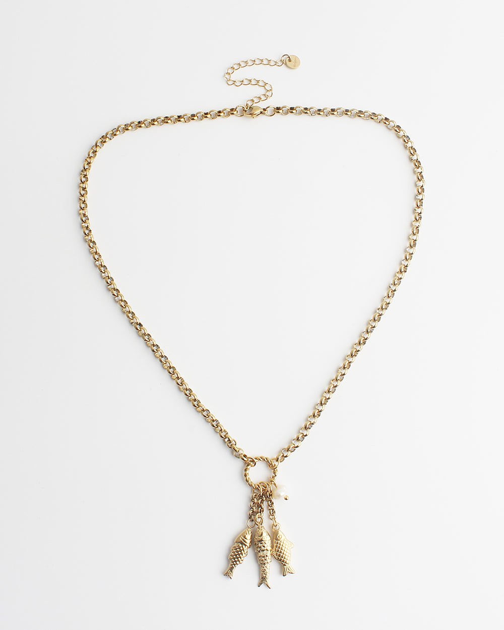 Fish - Ketting - Stainless Steel