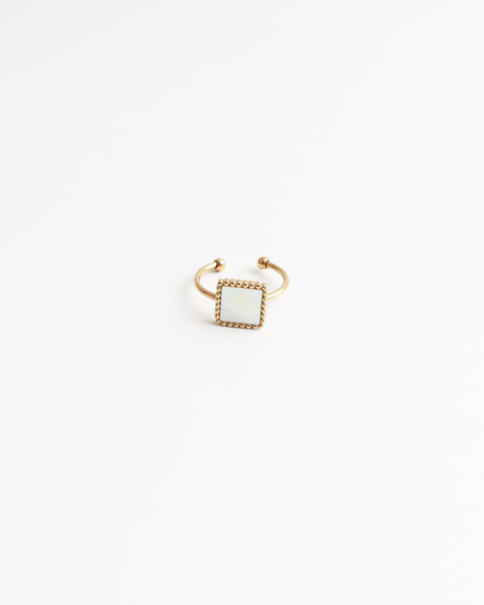 Square Shell - Ring - Stainless Steel - Adjustable